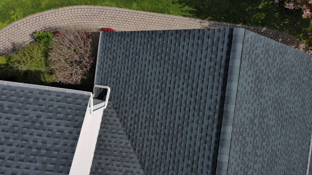 Best Roof Ventilation Installation  in Elsmere, KY